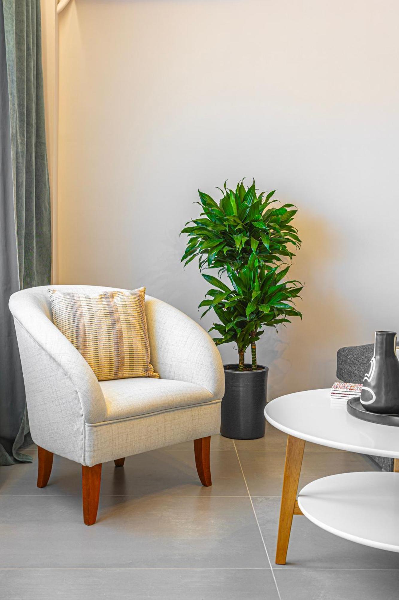 Luxury Apartment By The Sea- Euripus Strait Karababás 外观 照片